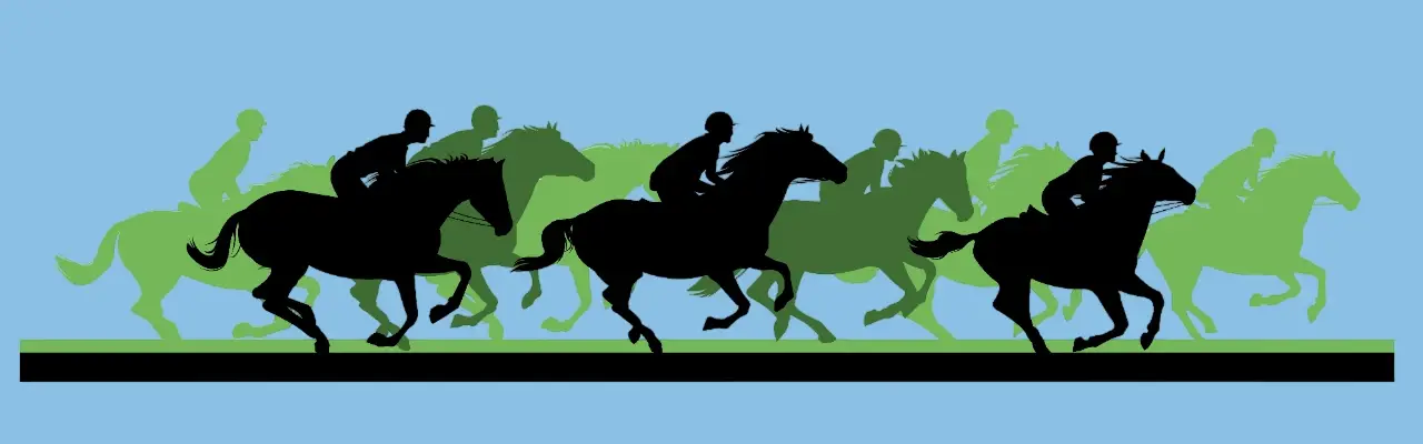 Horse racing betting